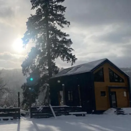 Drin-lux-cotteges 3* Slavske